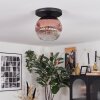 Ripoll ceiling light, globe light clear, coppery, 1-light source