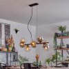 Gastor hanging light, globe light, pendant light Amber, clear, Smoke-coloured, 8-light sources