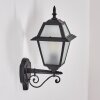 Fornelos outdoor light, outdoor wall light, wall light black, 1-light source