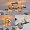 Koyoto ceiling light, globe light Amber, clear, Smoke-coloured, 8-light sources