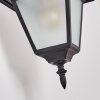 Fornelos outdoor light, outdoor wall light, wall light black, 1-light source