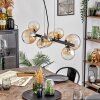 Chehalis hanging light, globe light, pendant light Amber, clear, 8-light sources