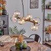 Chehalis hanging light, globe light, pendant light clear, 8-light sources