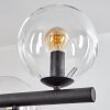 Gastor hanging light, globe light, pendant light clear, 10-light sources