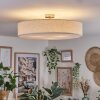 Foggia ceiling light matt nickel, 3-light sources