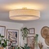 Foggia ceiling light matt nickel, 3-light sources