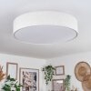 Foggia ceiling light matt nickel, 3-light sources