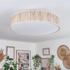 Foggia ceiling light matt nickel, 3-light sources