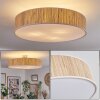 Foggia ceiling light matt nickel, 3-light sources