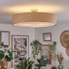 Foggia ceiling light matt nickel, 3-light sources