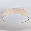 Foggia ceiling light matt nickel, 3-light sources