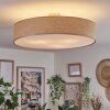 Foggia ceiling light matt nickel, 3-light sources