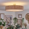 Foggia ceiling light matt nickel, 3-light sources