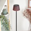 Longchamps floor lamp LED black, 1-light source