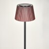 Longchamps floor lamp LED black, 1-light source