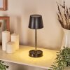 Amien Outdoor table lamp, table lamp LED black, silver, 1-light source