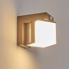 Swanek outdoor wall light, wall light LED rust-coloured, 1-light source, Motion sensor