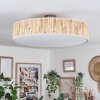 Foggia ceiling light matt nickel, 3-light sources