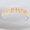 Foggia ceiling light matt nickel, 3-light sources