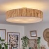 Foggia ceiling light matt nickel, 3-light sources