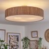 Foggia ceiling light matt nickel, 3-light sources