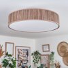 Foggia ceiling light matt nickel, 3-light sources