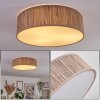 Antillo ceiling light matt nickel, 3-light sources