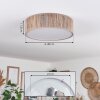 Antillo ceiling light matt nickel, 3-light sources