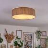 Antillo ceiling light matt nickel, 3-light sources