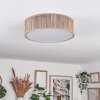 Antillo ceiling light matt nickel, 3-light sources