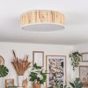 Antillo ceiling light matt nickel, 3-light sources