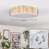 Antillo ceiling light matt nickel, 3-light sources