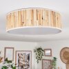 Antillo ceiling light matt nickel, 3-light sources