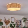 Antillo ceiling light matt nickel, 3-light sources