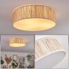 Antillo ceiling light matt nickel, 3-light sources