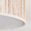 Antillo ceiling light matt nickel, 3-light sources