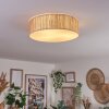 Antillo ceiling light matt nickel, 3-light sources