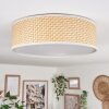 Antillo ceiling light matt nickel, 3-light sources