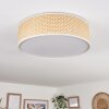 Antillo ceiling light matt nickel, 3-light sources