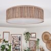 Antillo ceiling light matt nickel, 3-light sources