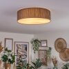 Antillo ceiling light matt nickel, 3-light sources