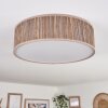 Antillo ceiling light matt nickel, 3-light sources