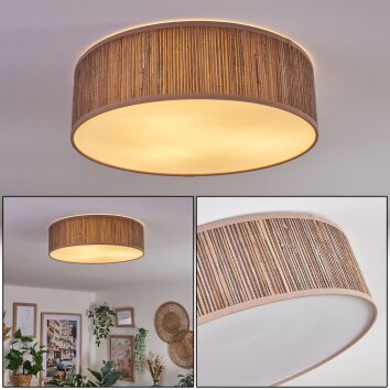 Antillo ceiling light matt nickel, 3-light sources