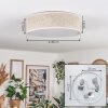 Antillo ceiling light matt nickel, 3-light sources