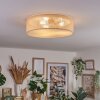 Antillo ceiling light matt nickel, 3-light sources