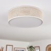 Antillo ceiling light matt nickel, 3-light sources