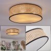 Antillo ceiling light matt nickel, 3-light sources