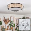 Antillo ceiling light matt nickel, 3-light sources