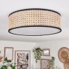 Antillo ceiling light matt nickel, 3-light sources