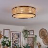 Antillo ceiling light matt nickel, 3-light sources